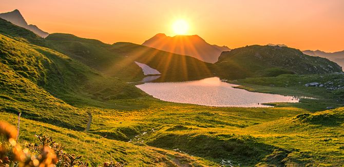 Alpine Sommerfrische.