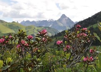 Guided tour Biberkopf 2.599 m