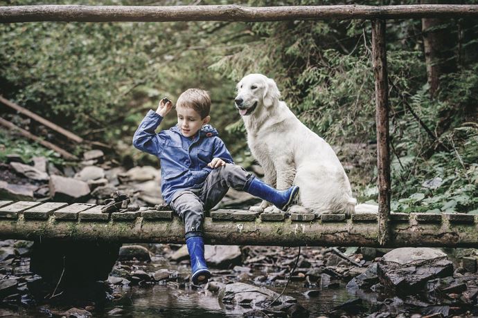 Hunde sind herzlich willkommen