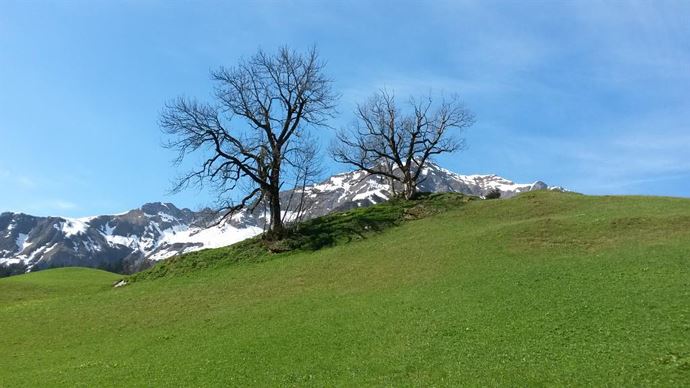 Aussicht aus Appartment 3