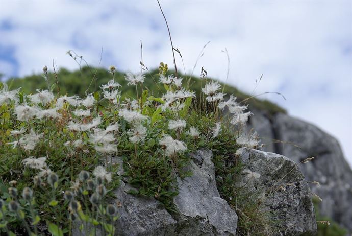 Natur erleben