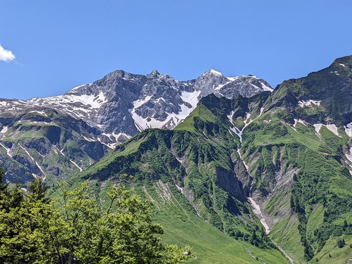 Frühjahr am Braunarl