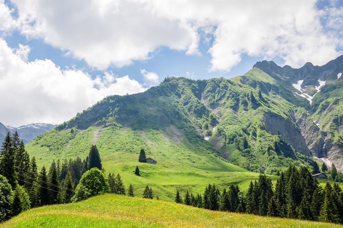 Blick zur Fell Alpe mit Hochberg