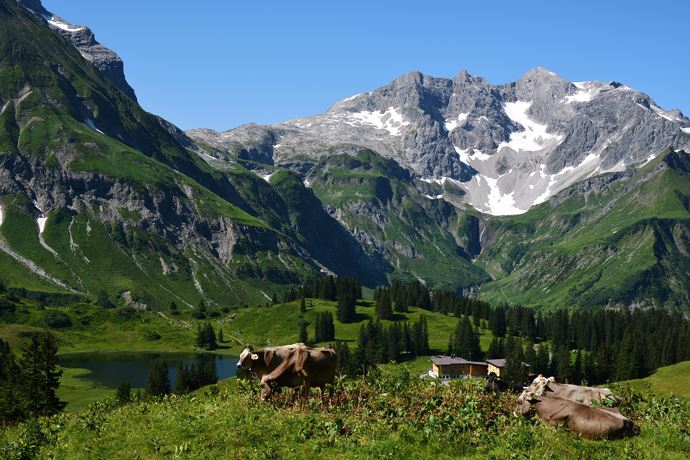 Körbersee Sommer 2015_4(c)Warth-Schröcken Tourismu