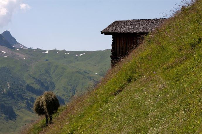 Heuernte im steilen Gelände