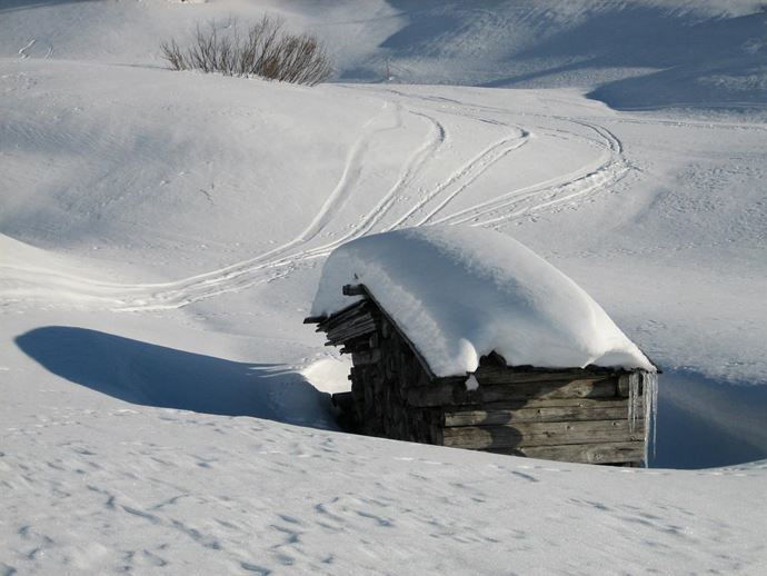 Holzstapel im Schnee