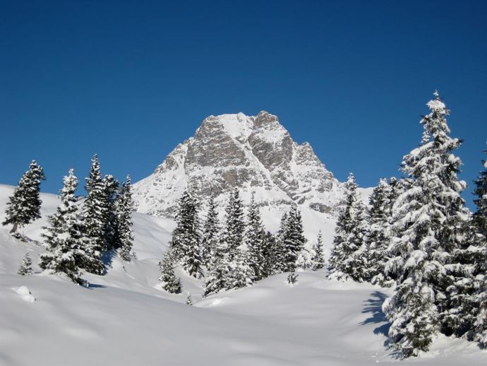 Widderstein/Hochkrumbach