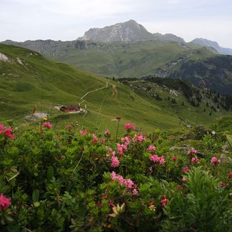 Punschhütte