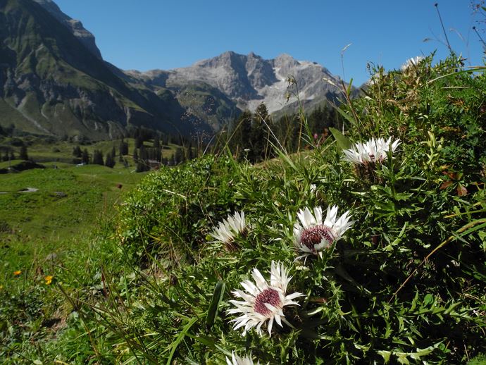 Guided tour Braunarlspitze 2.649 m